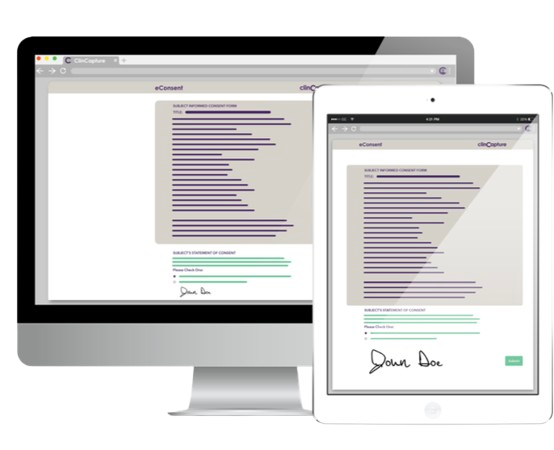 image2 removebg preview